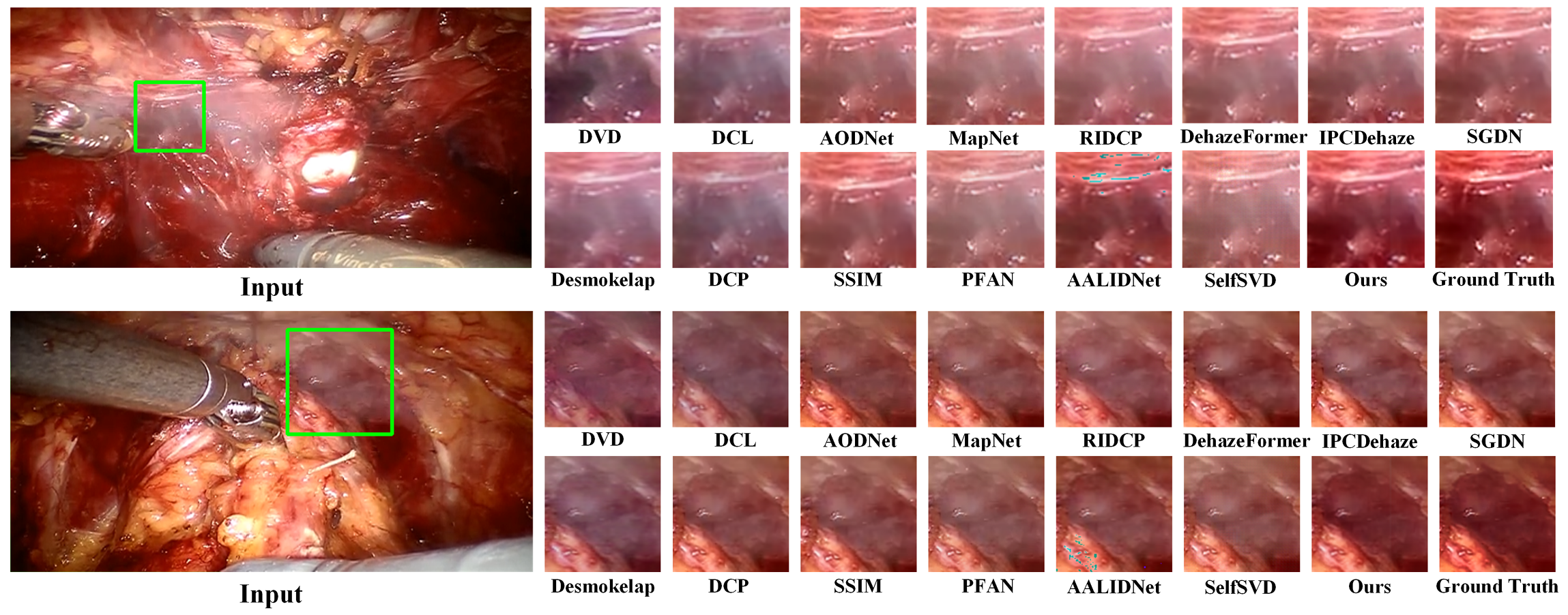 Visual Comparison on Vivo Dataset